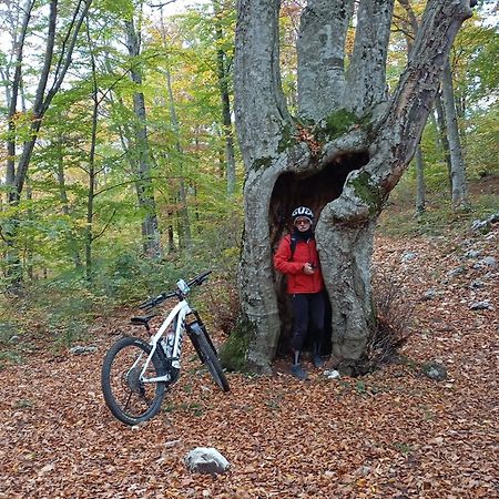 La Bottega Del Fabbro Affitto Breve Villa Contigliano Kültér fotó