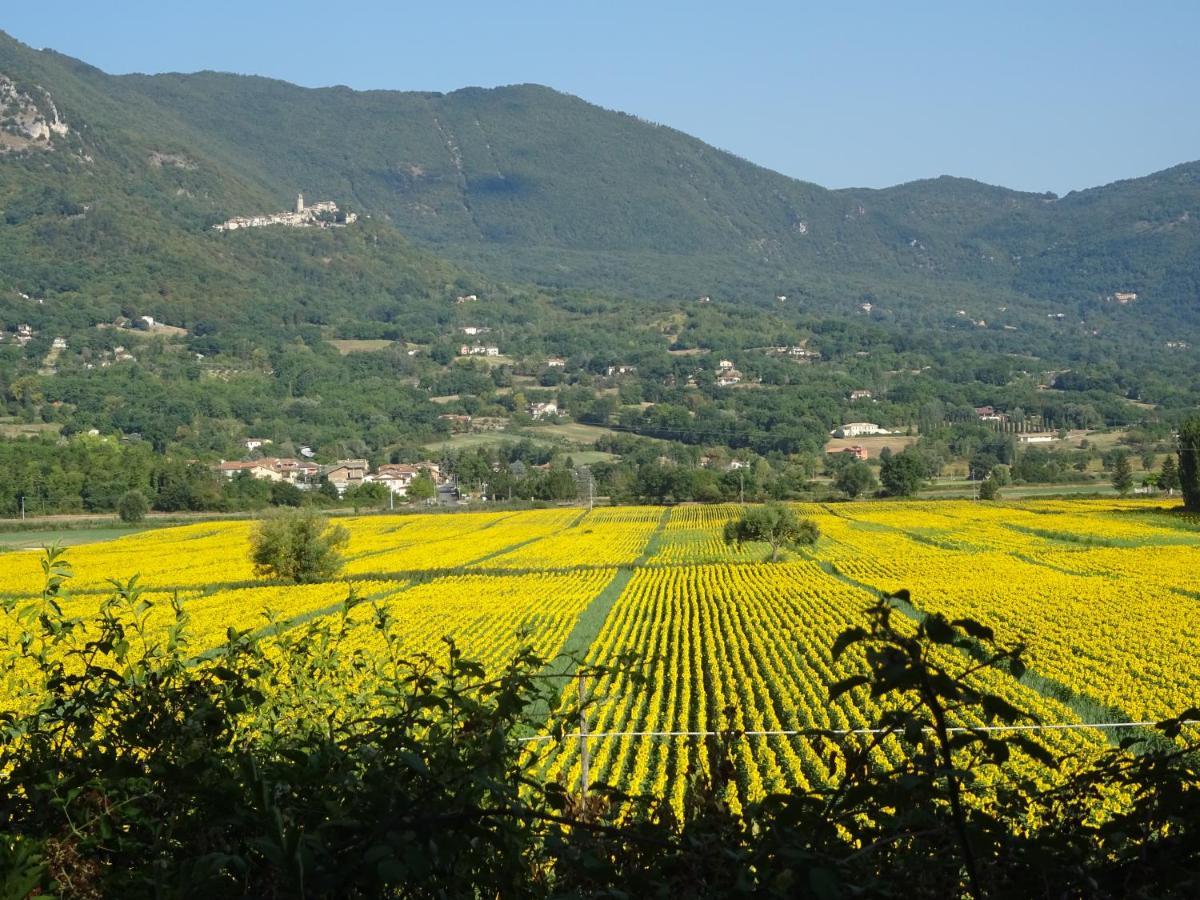 La Bottega Del Fabbro Affitto Breve Villa Contigliano Kültér fotó