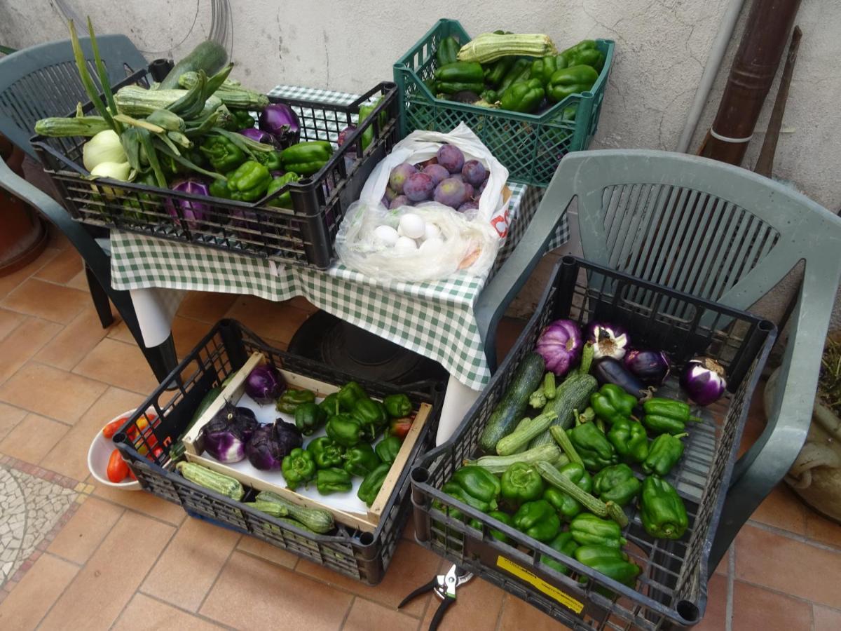 La Bottega Del Fabbro Affitto Breve Villa Contigliano Kültér fotó